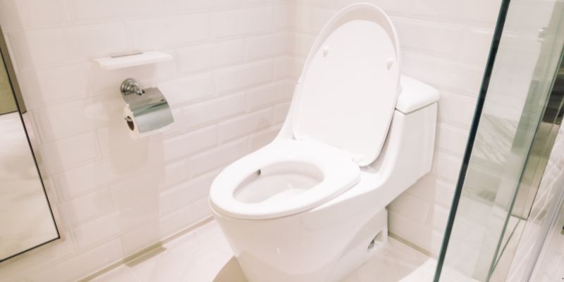 Como Desentupir Vaso Sanitário Que Caiu Objeto Dentro em Joinville: 4 Técnicas